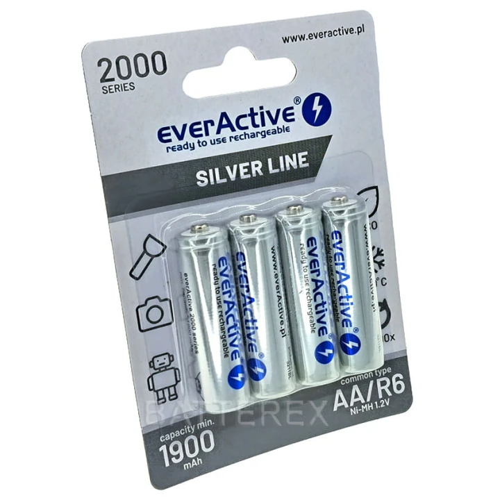 aa-everactive-2000-4bp-2024-01-batterex-alg.jpg
