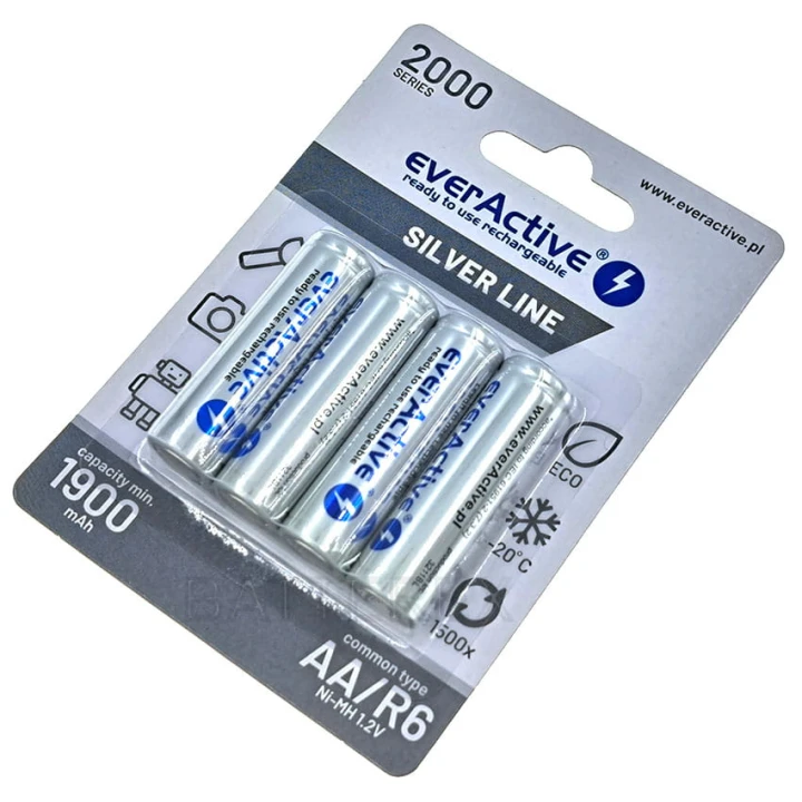 aa-everactive-2000-4bp-2024-06-batterex-alg.jpg