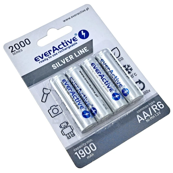 aa-everactive-2000-4bp-2024-07-batterex-alg.jpg